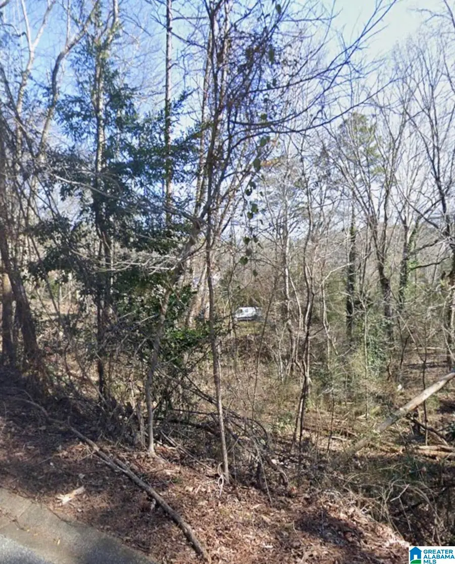 0 RIDGELY DRIVE, Anniston, AL 36207 - Image #2