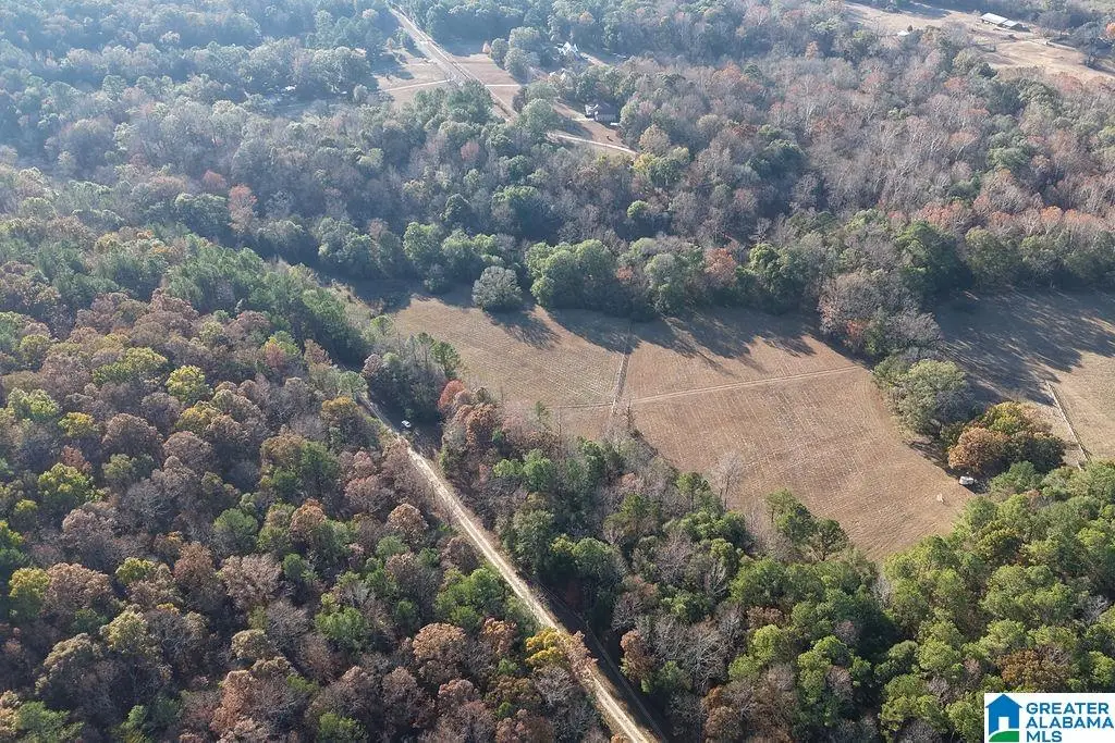 330 COUNTY ROAD 1055, Montevallo, AL 35115 - Image #1
