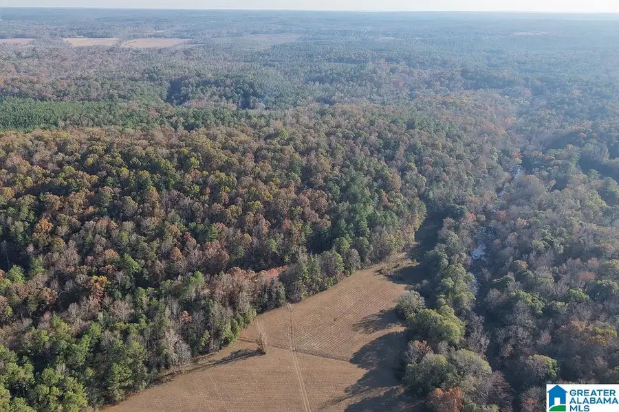 330 COUNTY ROAD 1055, Montevallo, AL 35115 - Image #2