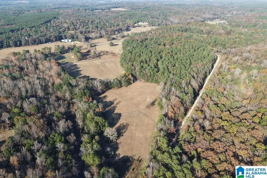 330 COUNTY ROAD 1055, Montevallo, AL 35115 - Image #3