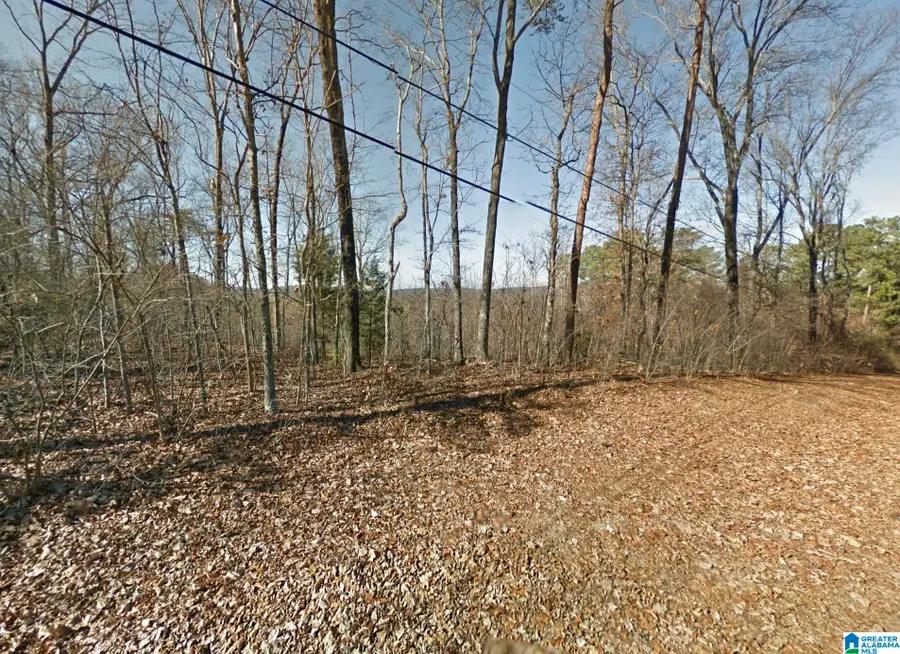 5317 DUG HOLLOW ROAD, Pinson, AL 35126 - Image #2