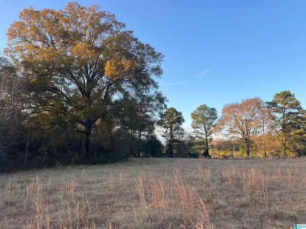 11 Acres RISER MILL ROAD, Alpine, AL 35014