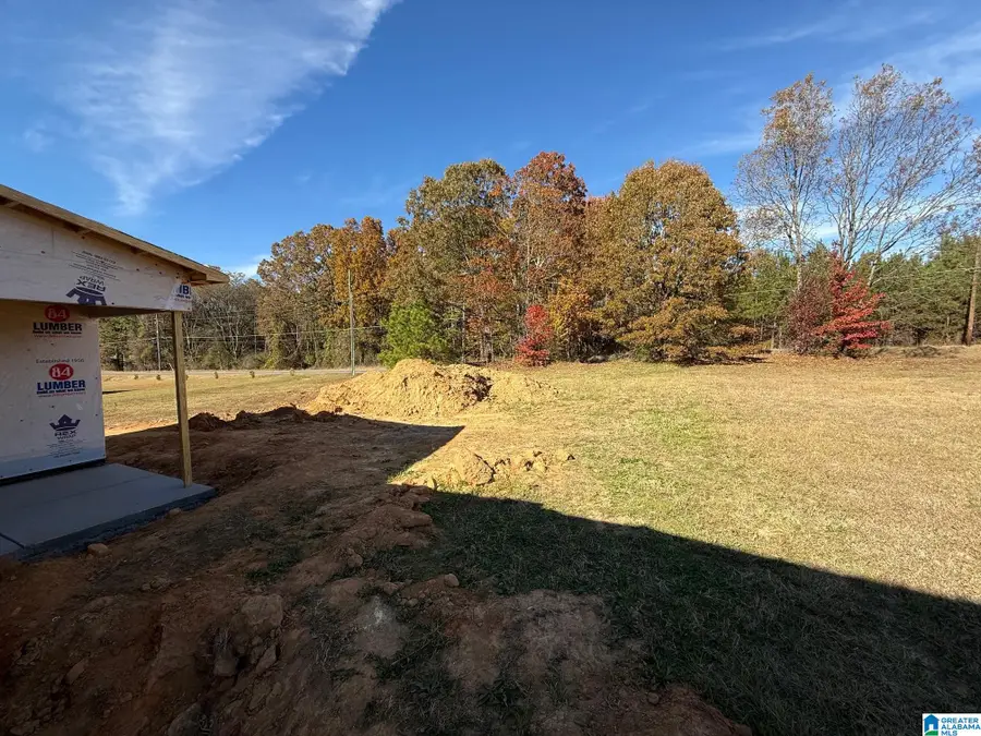 4121 BAGWELL WAY, Dora, AL 35062 - Image #3