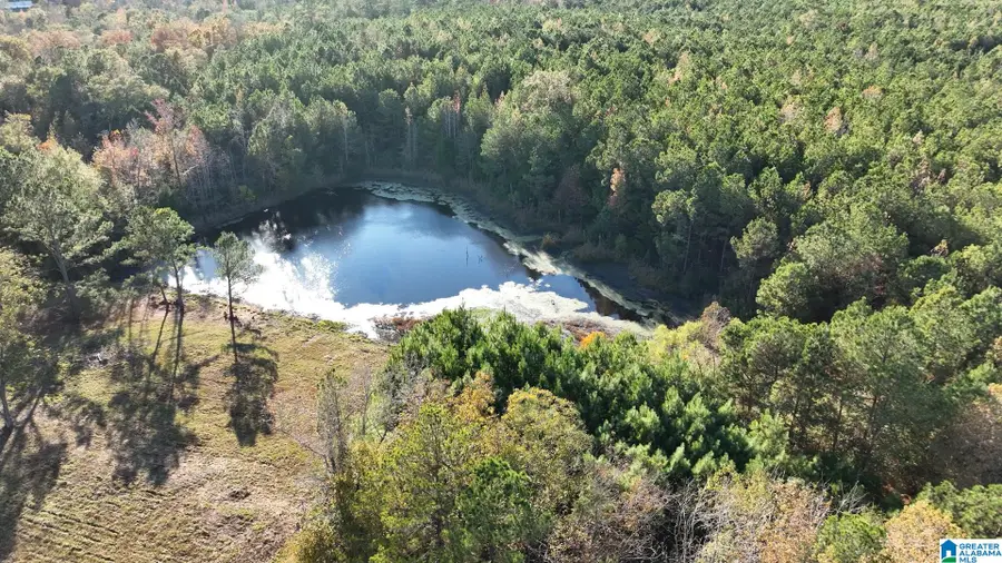 3294 BRADY ROAD, Letohatchee, AL 36047 - Image #2