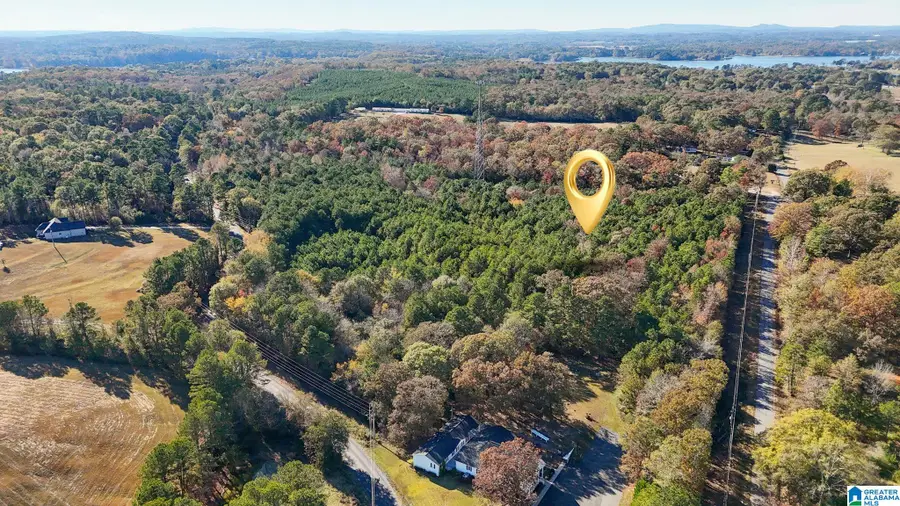 0 EUREKA ROAD, Lincoln, AL 35096 - Image #2