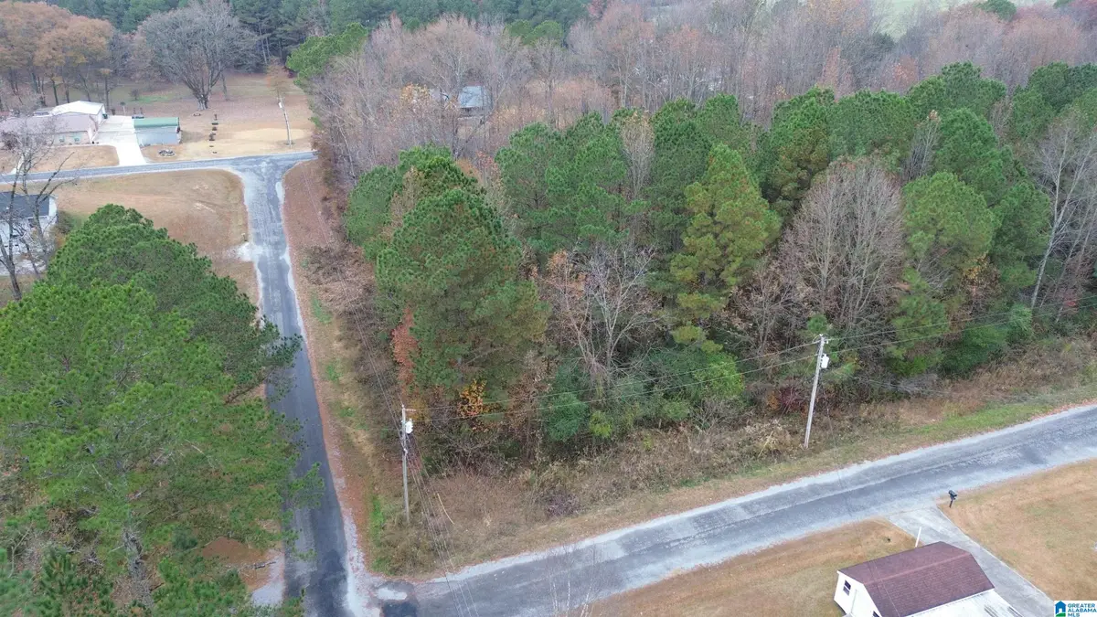 00 COUNTY ROAD 738, Cullman, AL 35055 - Image #1
