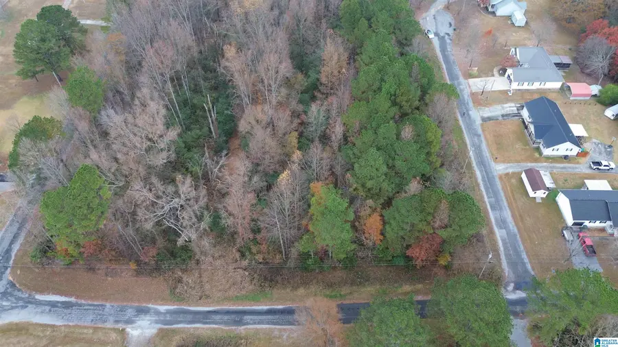 00 COUNTY ROAD 738, Cullman, AL 35055 - Image #2