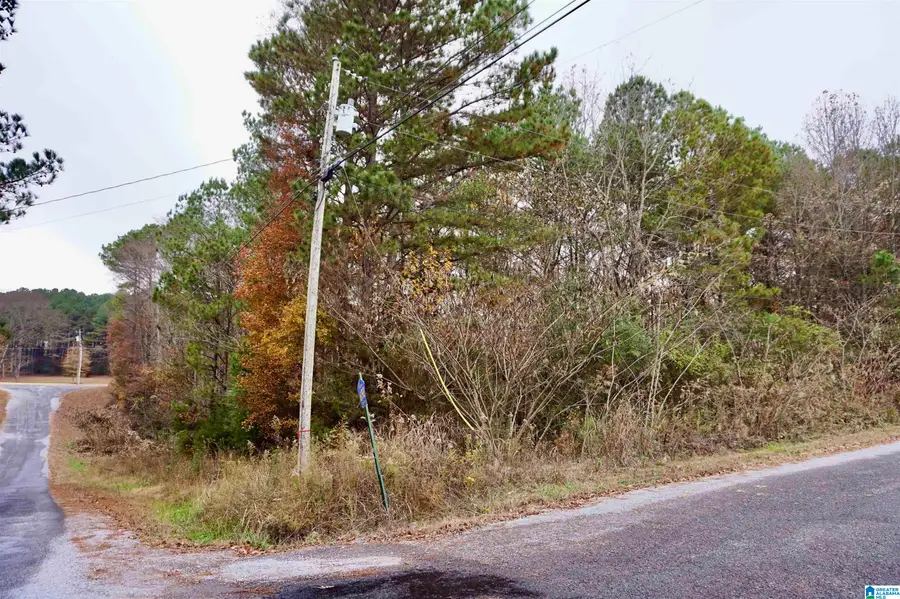 00 COUNTY ROAD 738, Cullman, AL 35055 - Image #3
