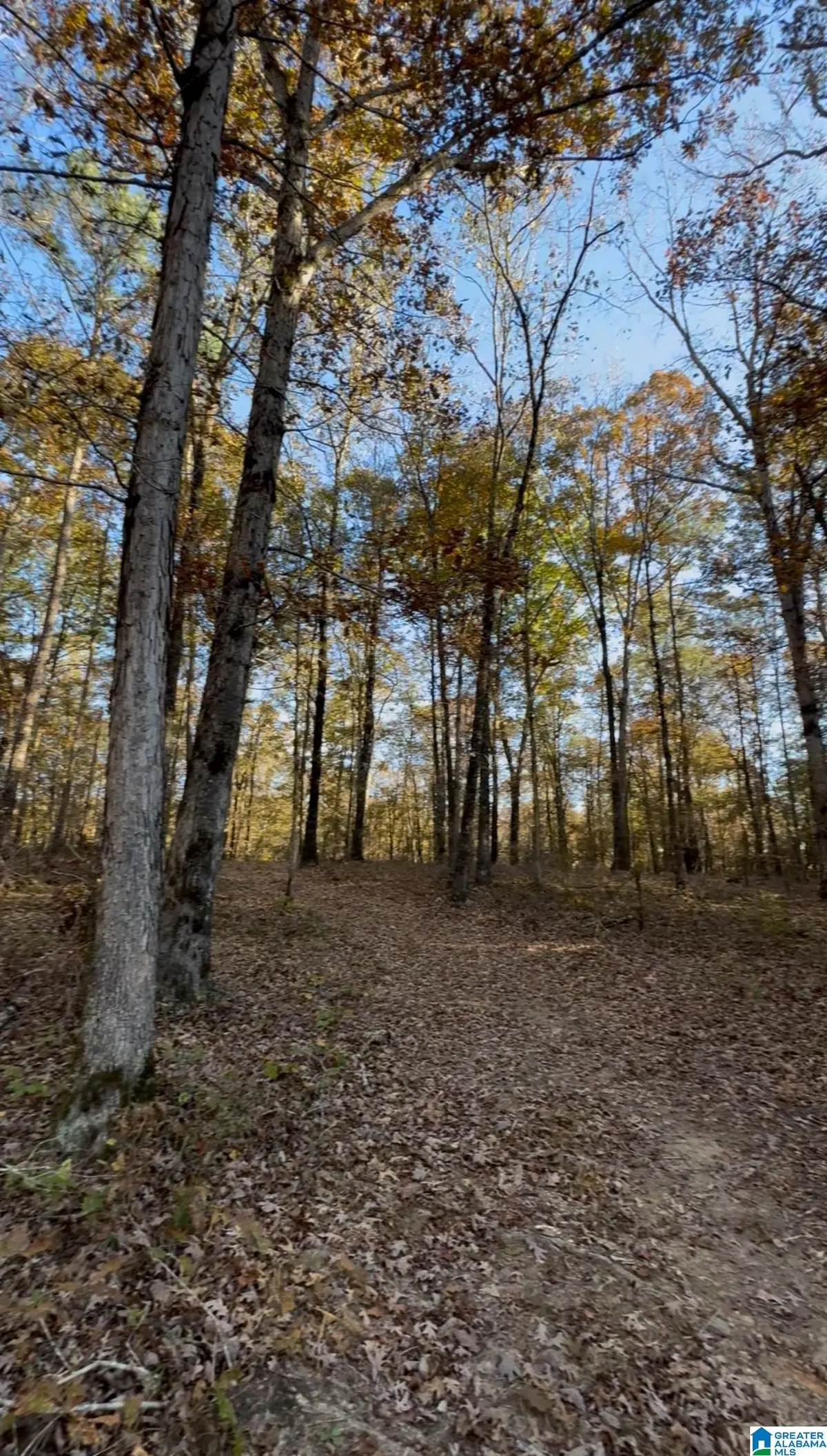 10000 HIGHWAY 216, McCalla, AL 35111 - Image #1