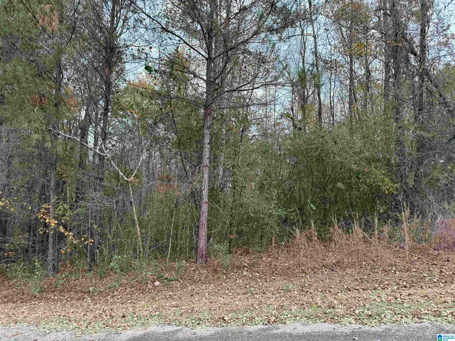 1 SPRING COVE ROAD, Warrior, AL 35180 - Image #3