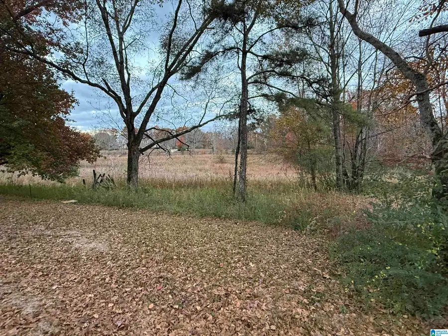 3 SPRING COVE ROAD, Warrior, AL 35180 - Image #2