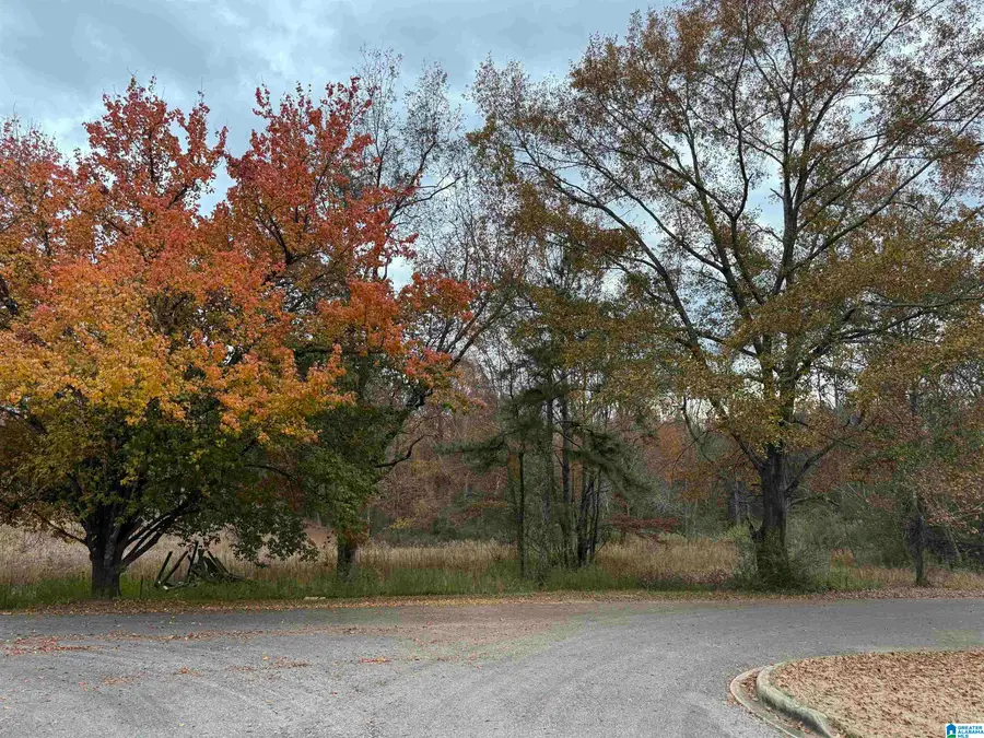 3 SPRING COVE ROAD, Warrior, AL 35180 - Image #3