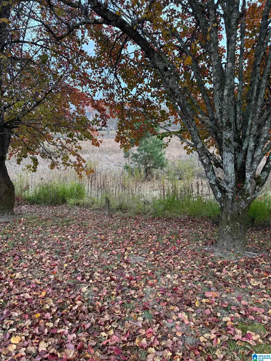 4 SPRING COVE ROAD, Warrior, AL 35180 - Image #2