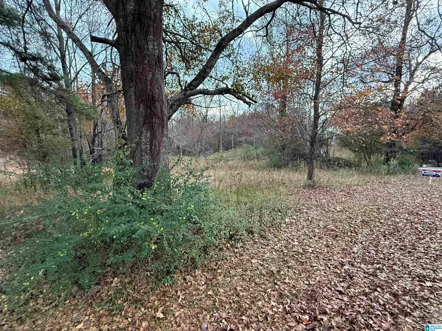 4 SPRING COVE ROAD, Warrior, AL 35180 - Image #3