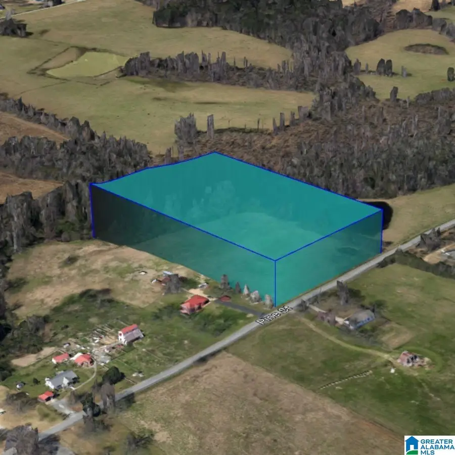 0 PINE STREET, Albertville, AL 35950 - Image #3