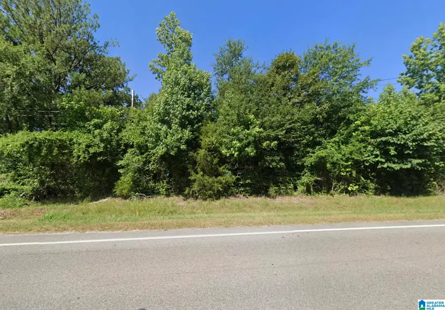 36555 US HWY 231, Ashville, AL 35953 - Image #2