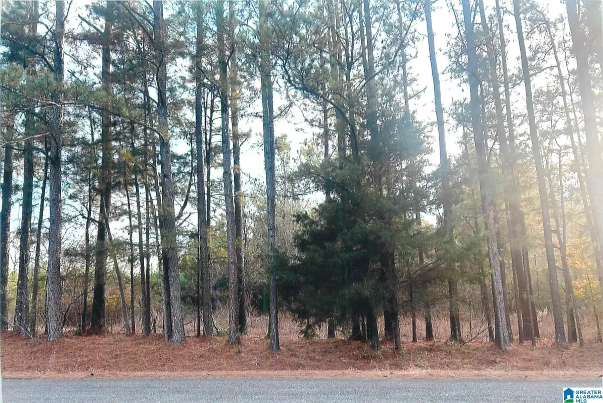 0 COVE ACCESS ROAD, Talladega, AL 35160 - Image #1