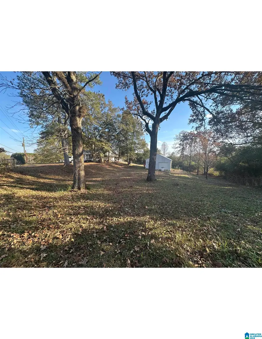 2641 TRAFFORD CO LINE ROAD, Trafford, AL 35172 - Image #3