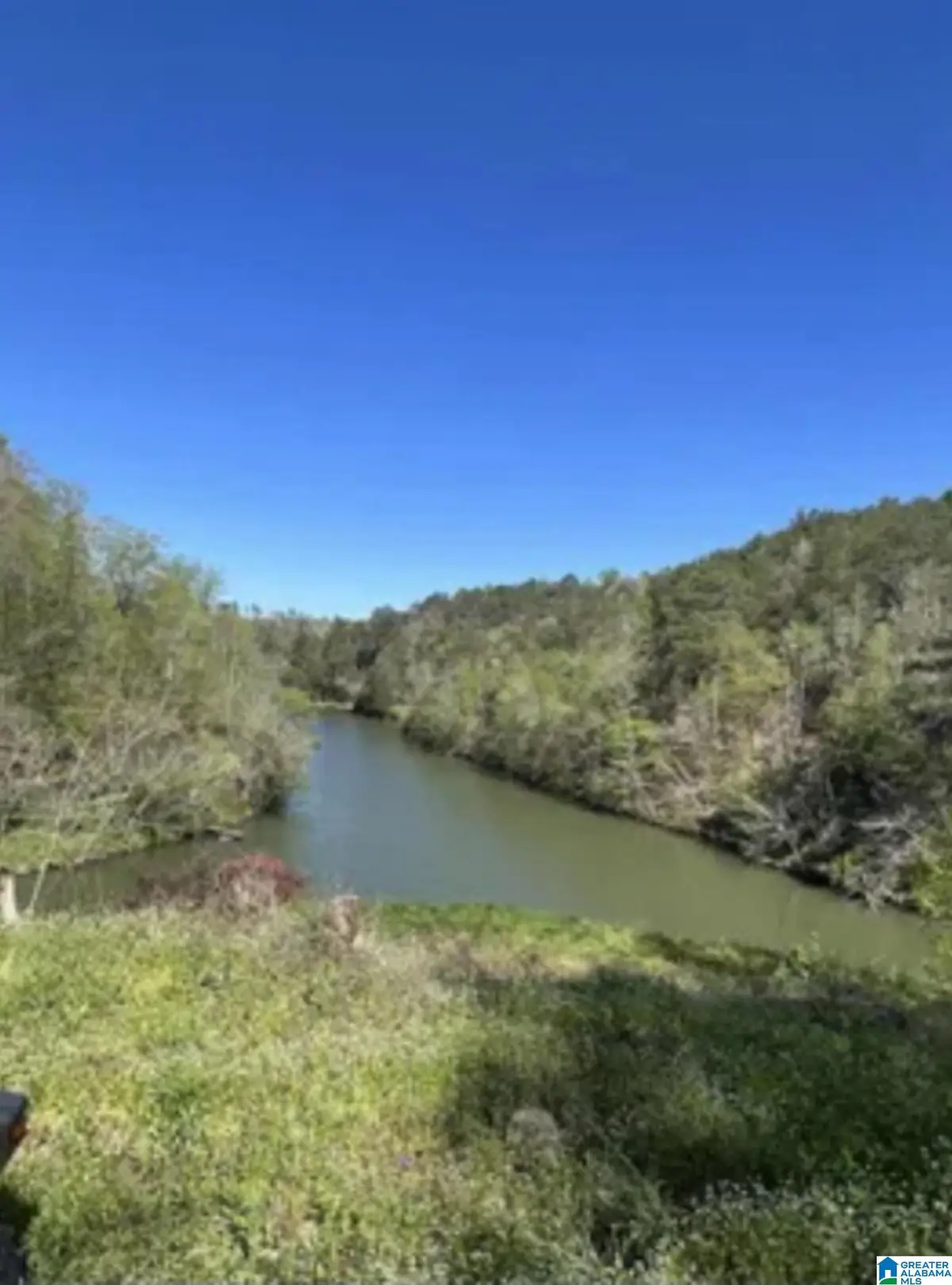 248 RIVERVIEW ROAD, Adger, AL 35006 - Image #1