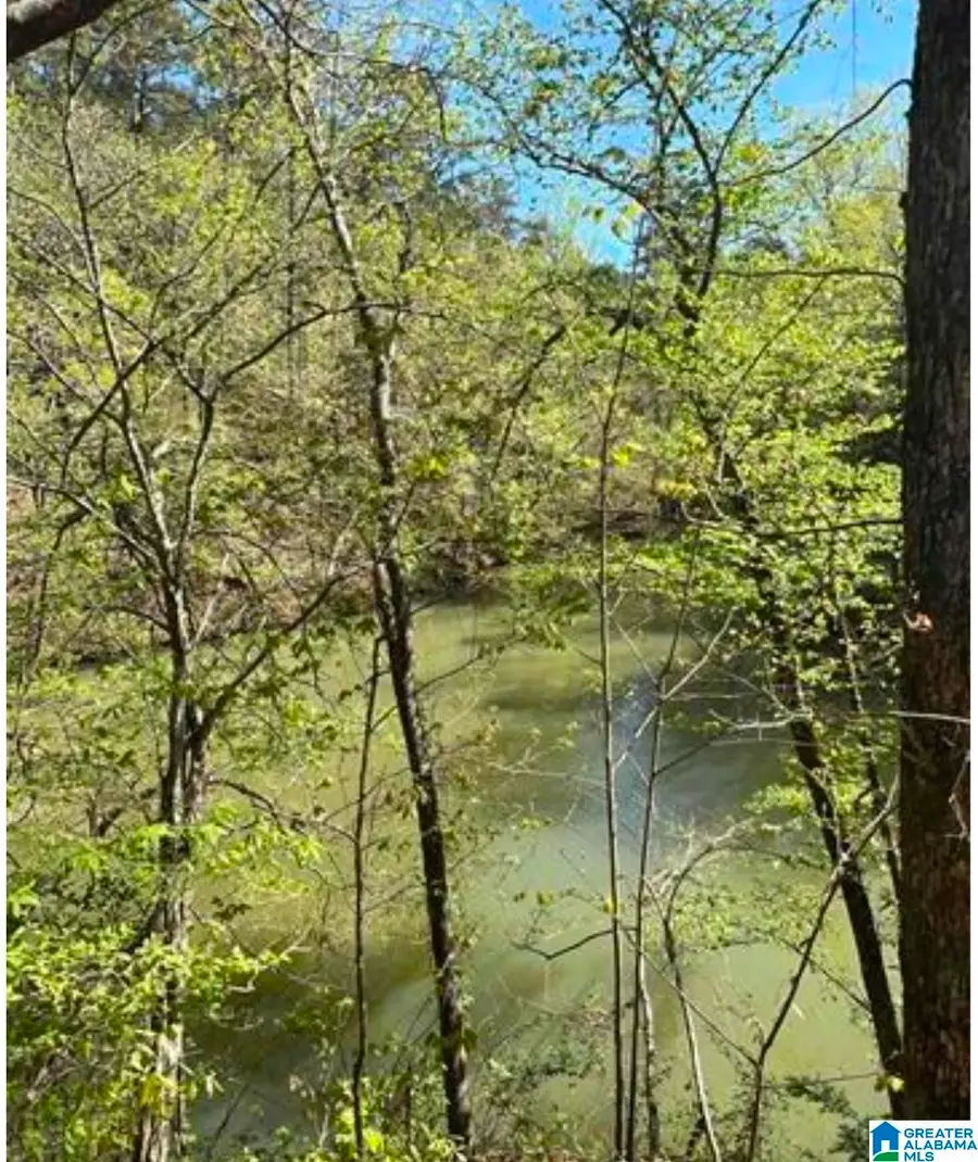 248 RIVERVIEW ROAD, Adger, AL 35006 - Image #2