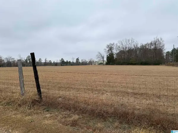 325 WASHINGTON AVENUE, Wellington, AL 36279