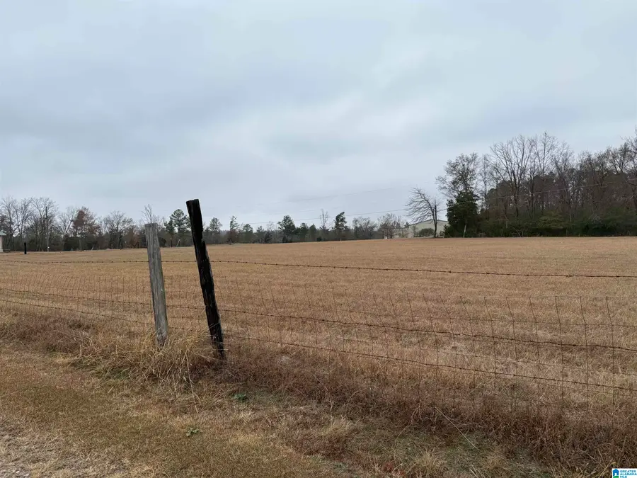 325 WASHINGTON AVENUE, Wellington, AL 36279 - Image #2