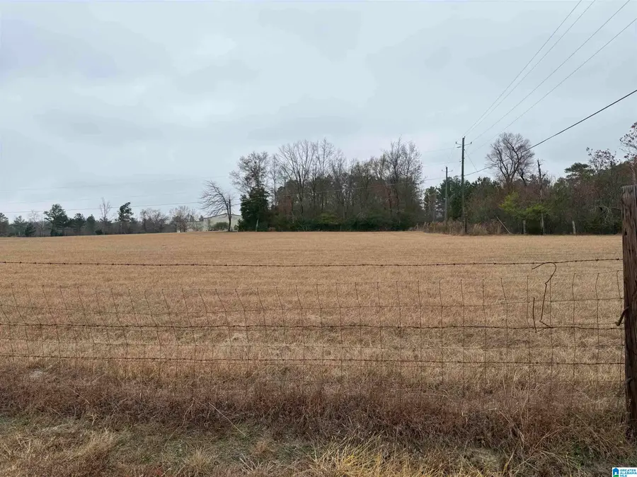 325 WASHINGTON AVENUE, Wellington, AL 36279 - Image #3