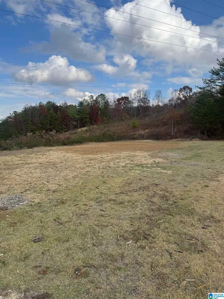 4329 HATHAWAY LANE, Mount Olive, AL 35117 - Image #2