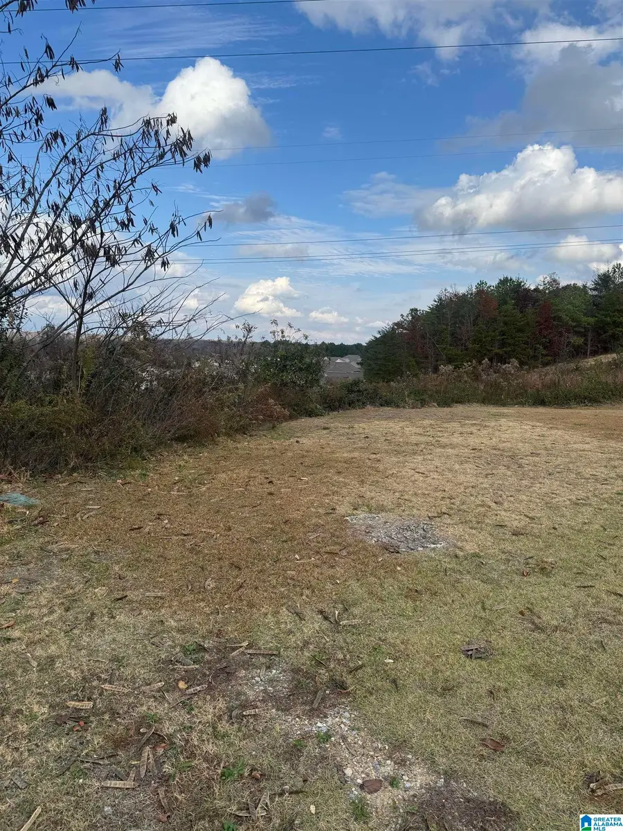 4329 HATHAWAY LANE, Mount Olive, AL 35117 - Image #3