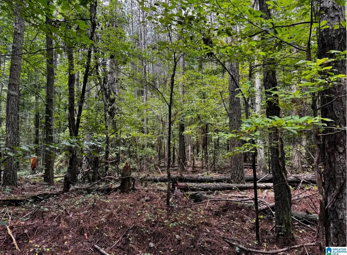 3550 MORGANS RUN PARKWAY, Bessemer, AL 35022 - Image #1