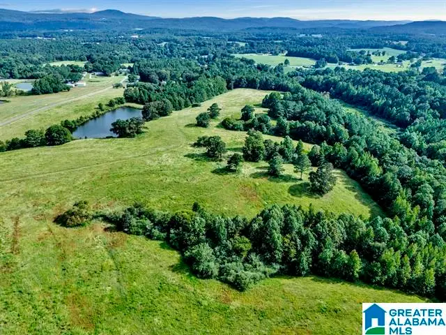 377 COUNTY ROAD 543, Hanceville, AL 35077 - Image #1