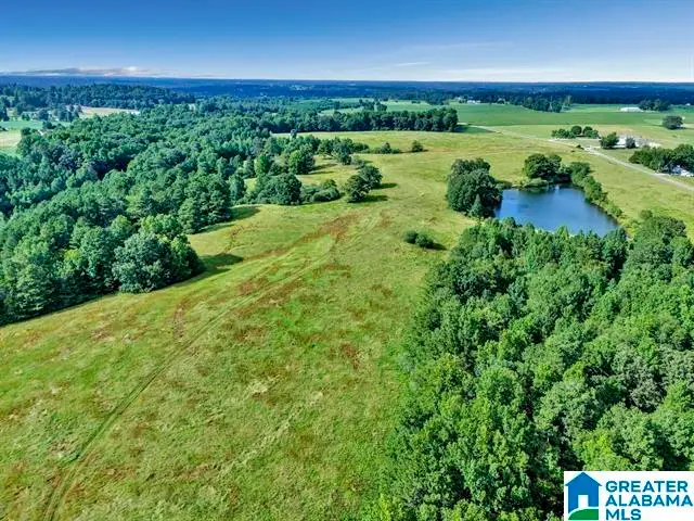 377 COUNTY ROAD 543, Hanceville, AL 35077 - Image #3