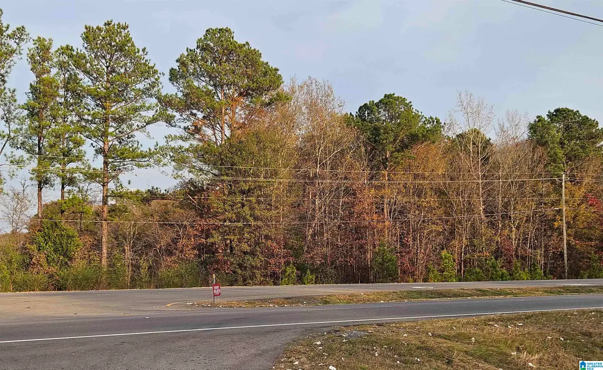 0 HIGHWAY 280 W, Childersburg, AL 35044 - Image #1