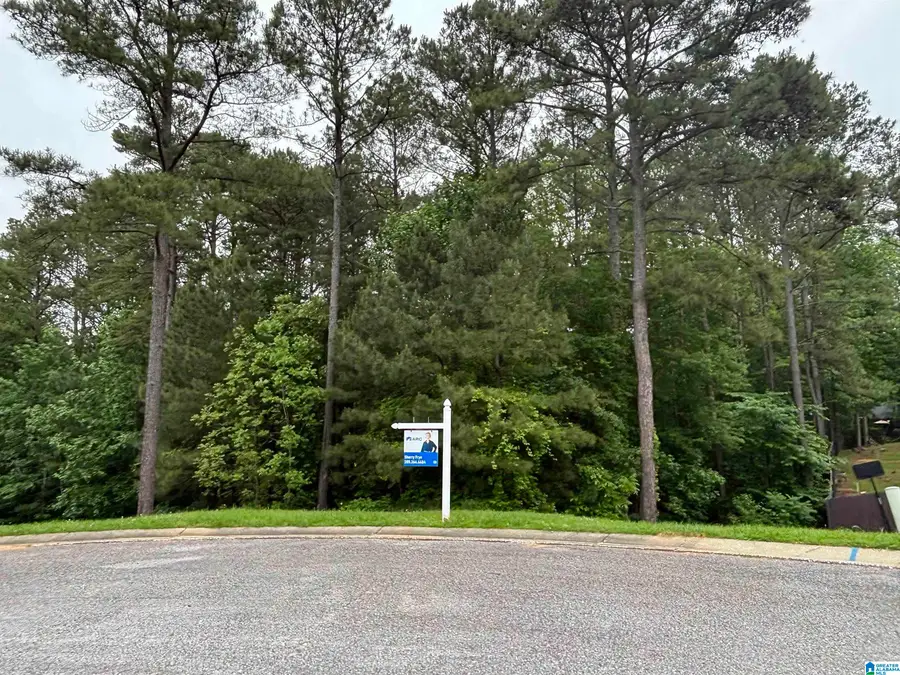 547 WOODBRIDGE TRACE, Chelsea, AL 35043 - Image #2
