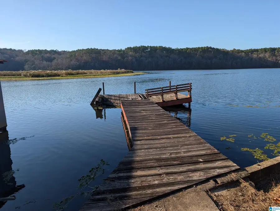 963 BOATWORKS ROAD, Adger, AL 35006 - Image #3