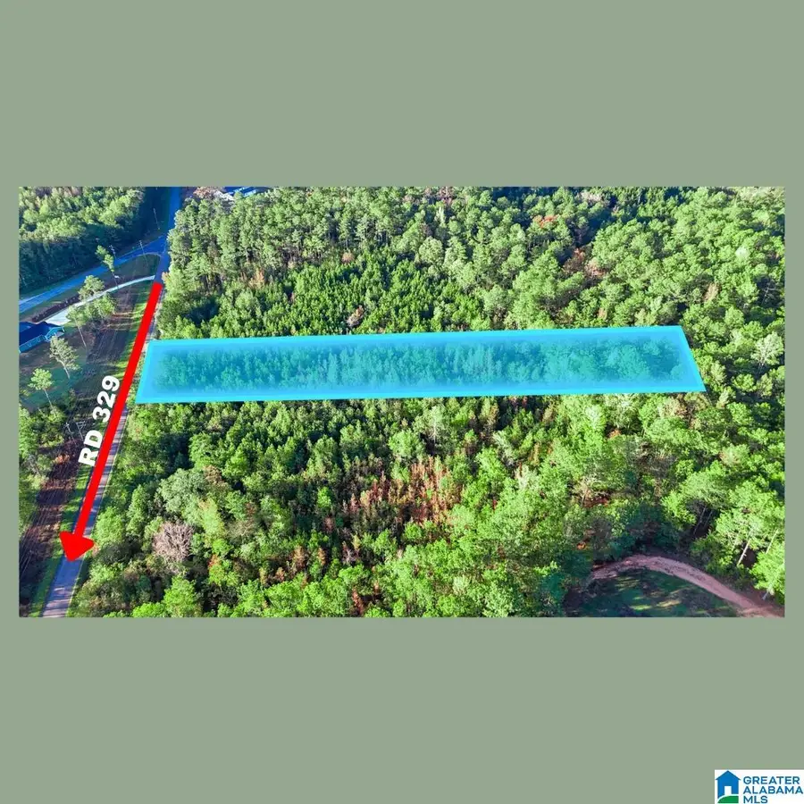 Tract 2B COUNTY ROAD 329, Wedowee, AL 36278 - Image #2