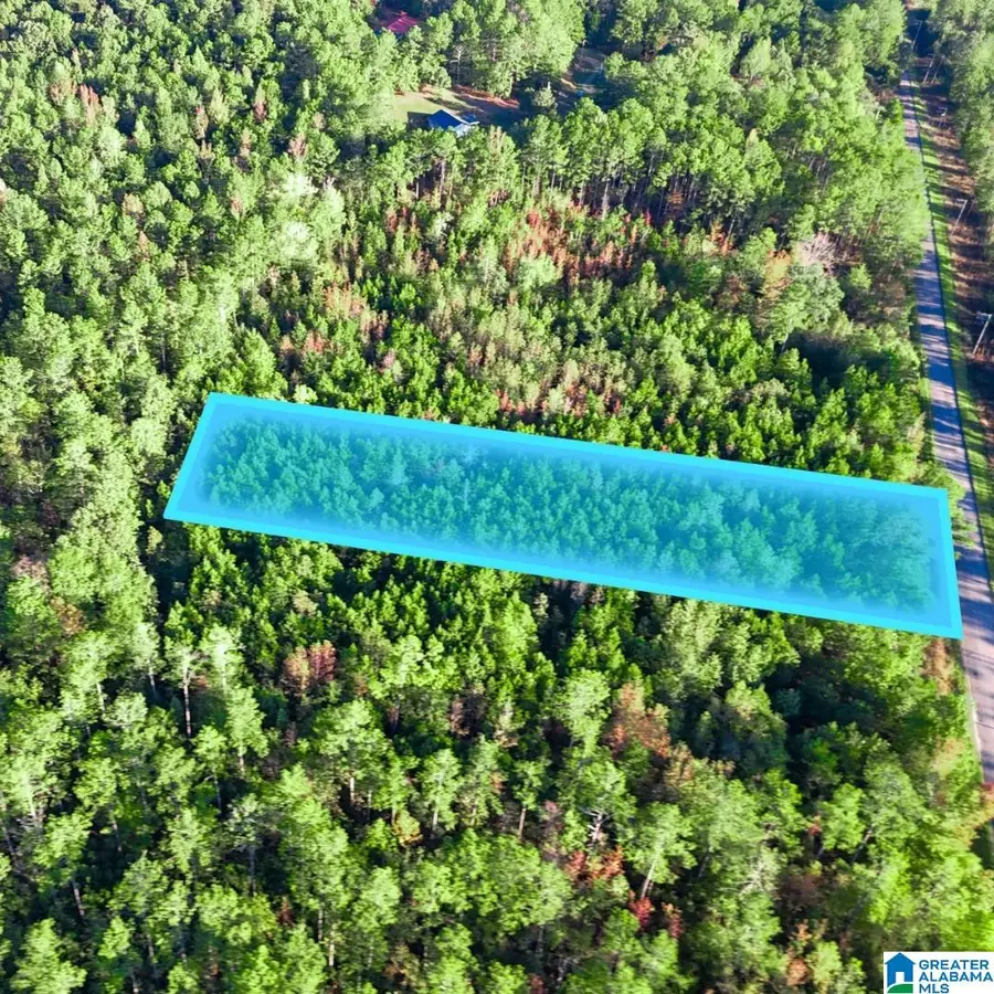 Tract 2B COUNTY ROAD 329, Wedowee, AL 36278 - Image #3