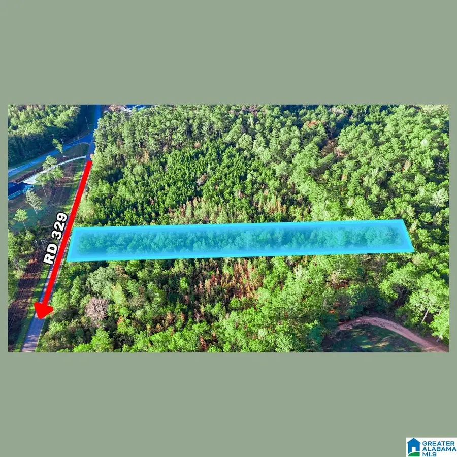 Tract  3A COUNTY ROAD 329, Wedowee, AL 36278 - Image #2