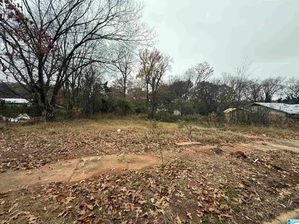 6515 3RD AVENUE S, Birmingham, AL 35212