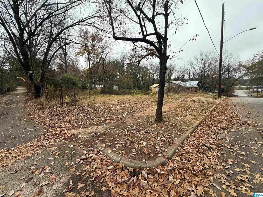 6515 3RD AVENUE S, Birmingham, AL 35212 - Image #2