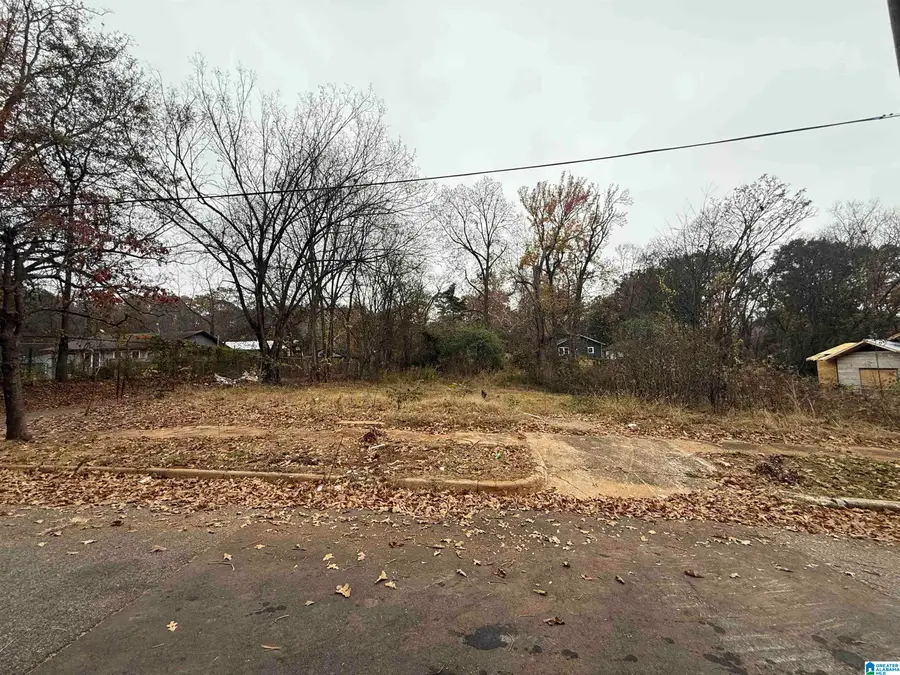 6515 3RD AVENUE S, Birmingham, AL 35212 - Image #3