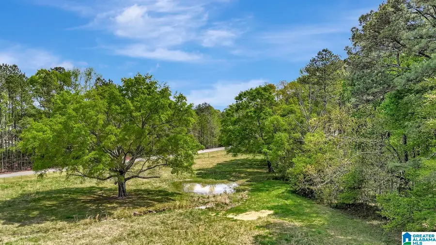 515 HOYT HILL ROAD, Ashville, AL 35953 - #2