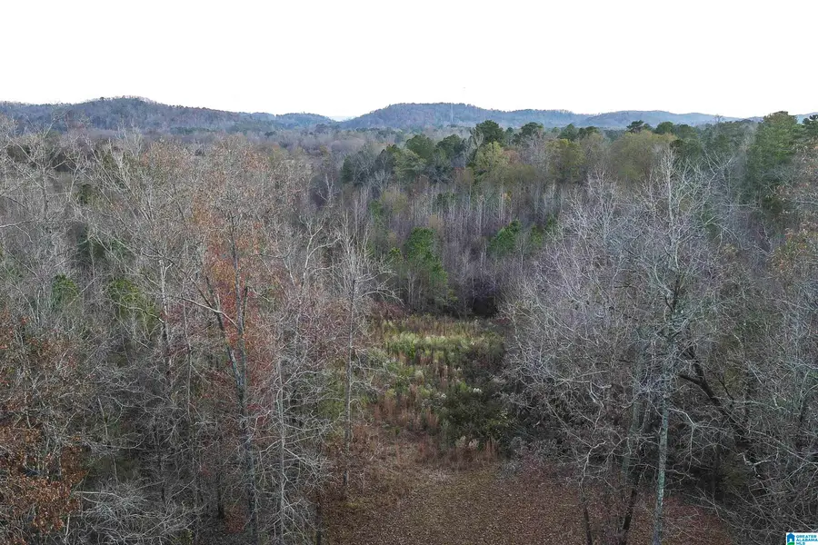 1234 OLD ANNISTON GADSDEN HIGHWAY, Gadsden, AL 35905 - Image #3