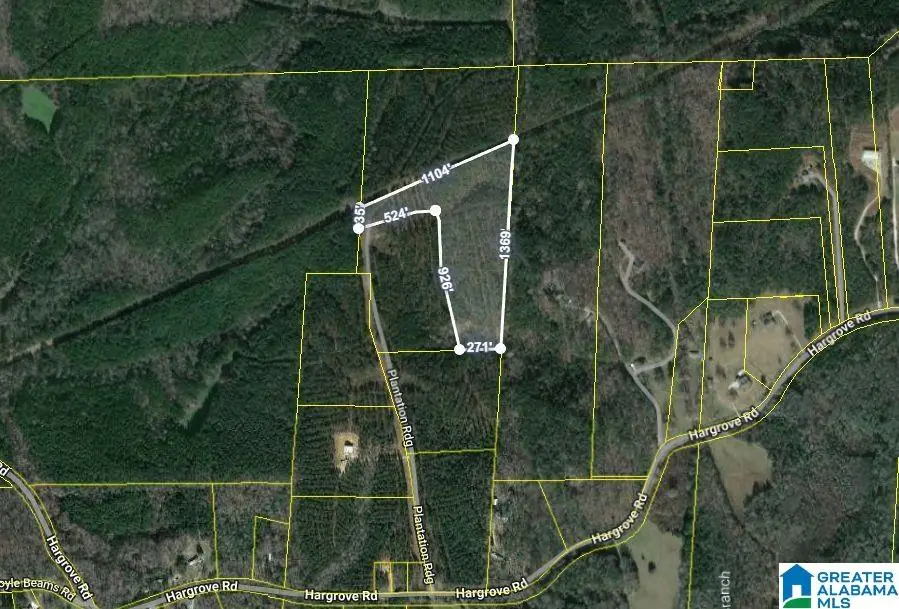 14304 HARGROVE ROAD E, Cottondale, AL 35453 - Image #1