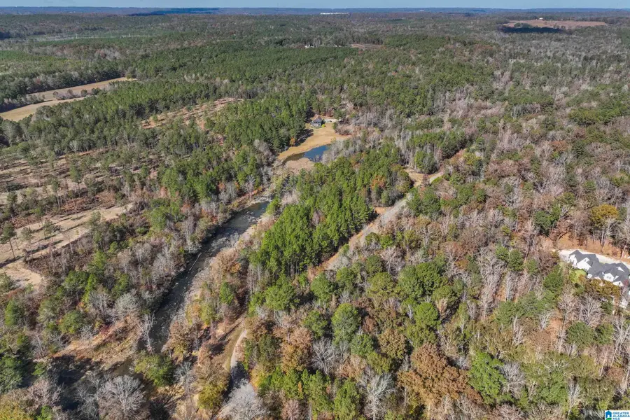 8799 SHADES FALLS WAY, Bessemer, AL 35022 - Image #3