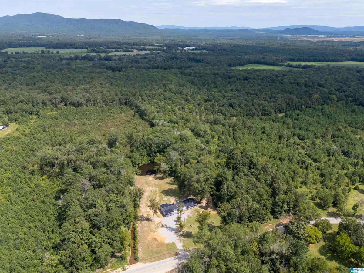 668 JONES CHAPEL ROAD, Piedmont, AL 36272 - Image #1