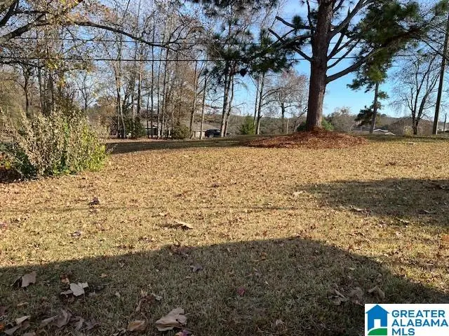 124 PLEASANT GROVE ROAD, Pleasant Grove, AL 35127 - Image #2
