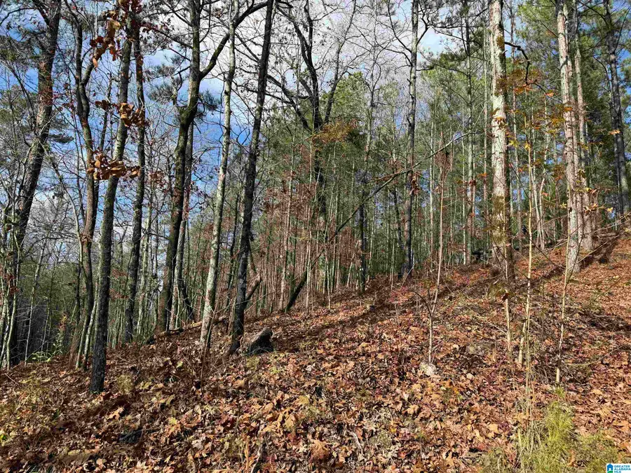 680 SWEET APPLE ROAD, Pell City, AL 35128 - Image #3