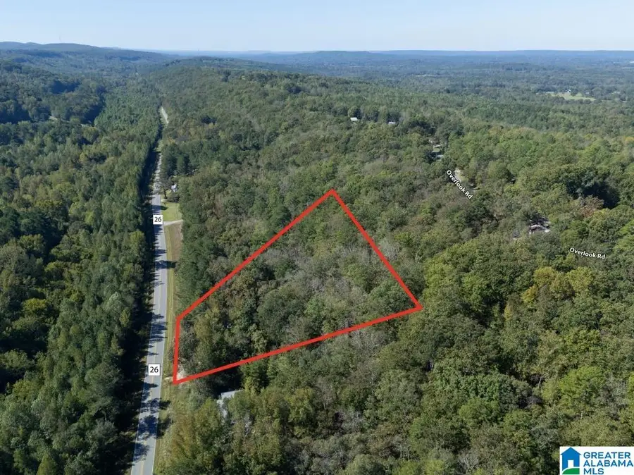 15874 COUNTY HIGHWAY 26, Blountsville, AL 35031 - Image #2