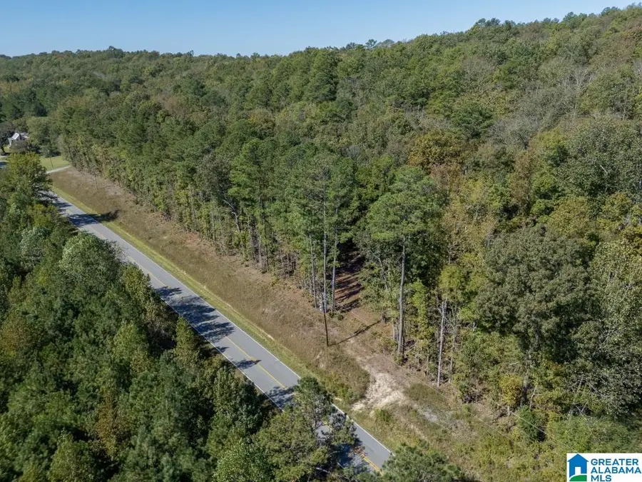 15874 COUNTY HIGHWAY 26, Blountsville, AL 35031 - Image #3